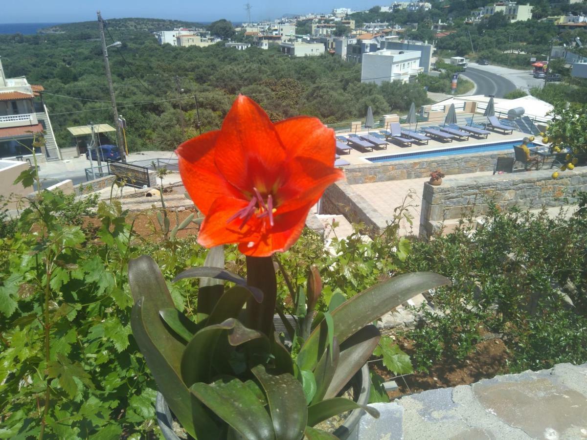 Kavousanos Apartments Istro Exterior photo